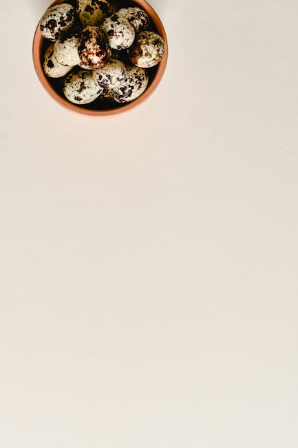 Quail eggs lifestyle