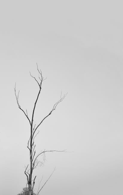 Artistic tree silhouette